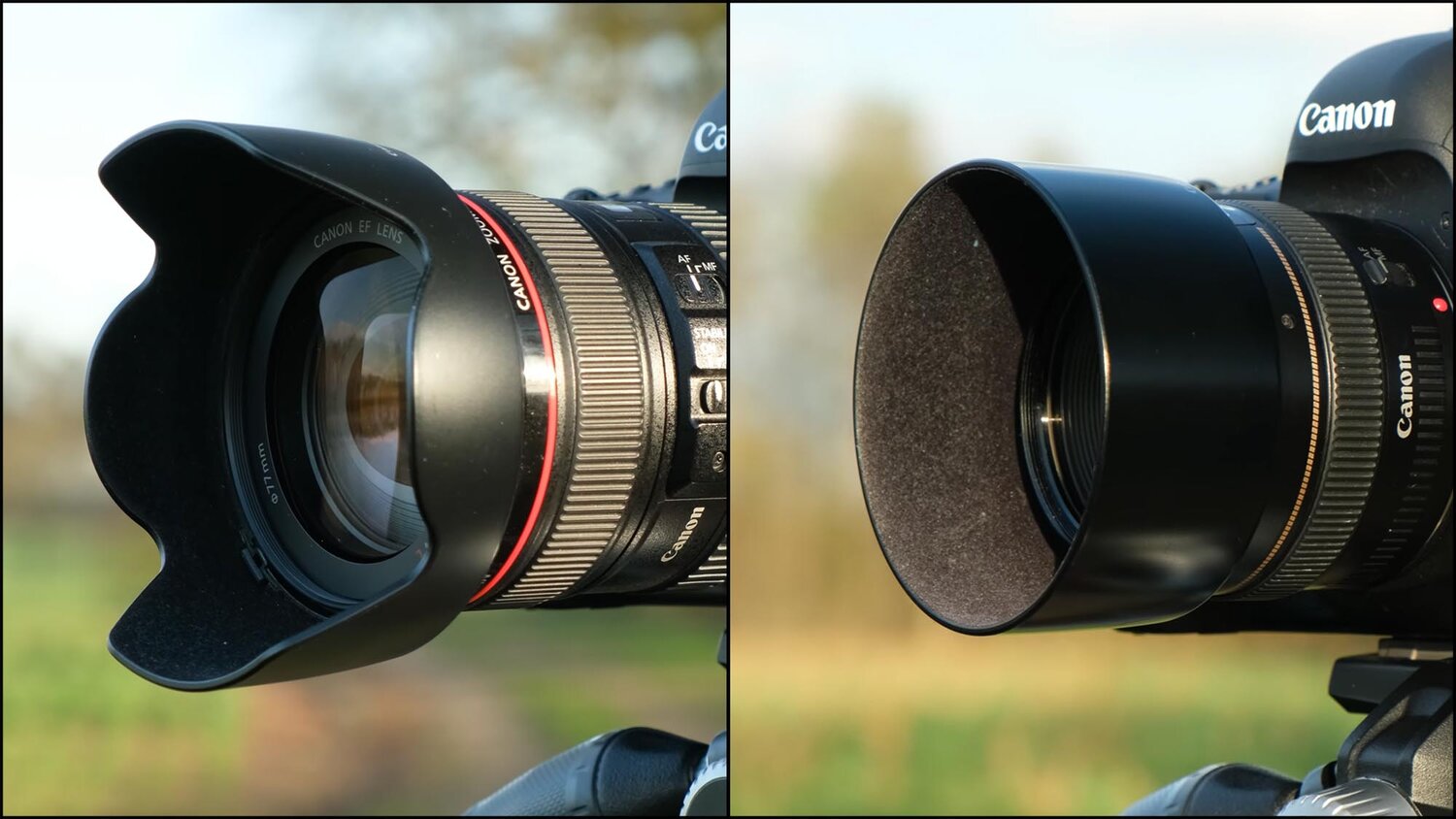 Canon Prop